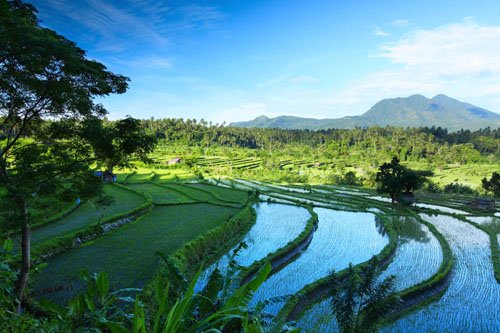 Wyspa Bali - panorama